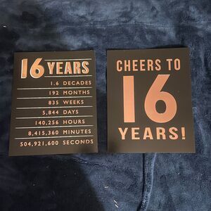 Pink Gold Sweet 16 Birthday Decorations, Pom Poms and Posters Cheers to 16 Years